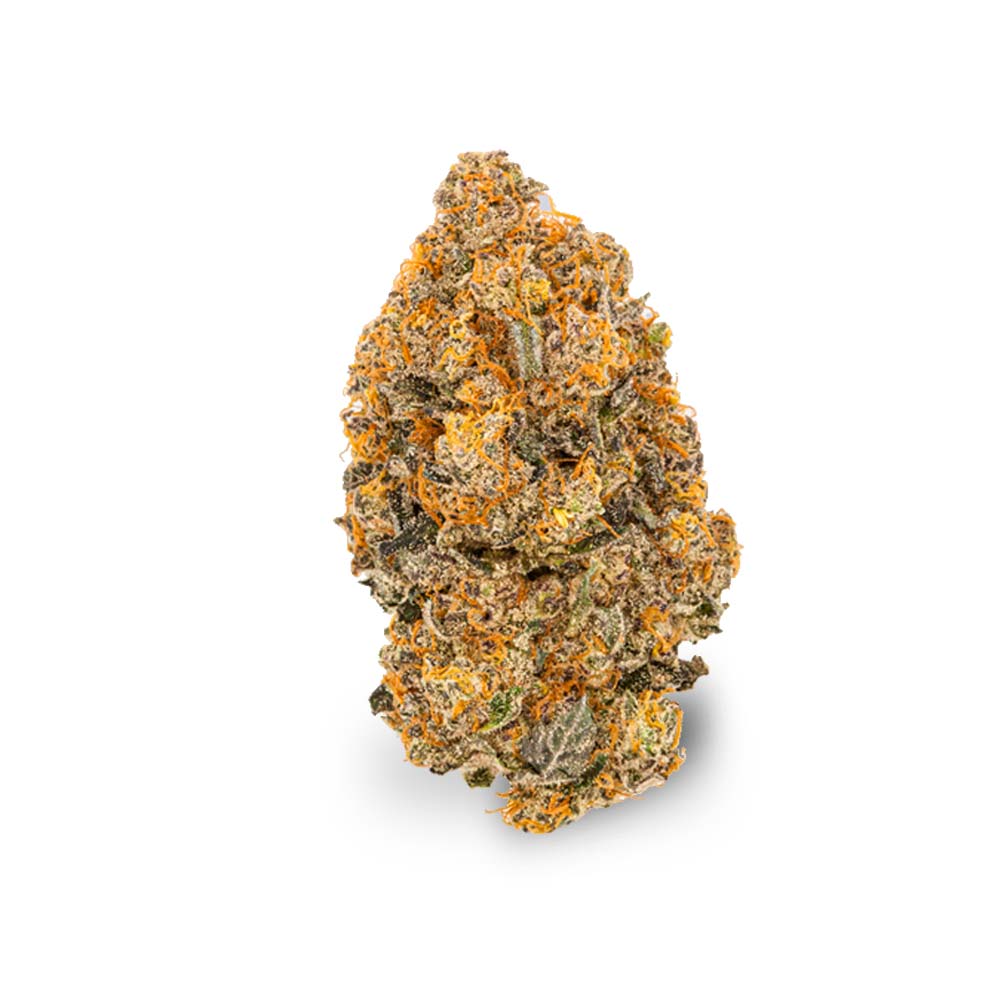 Canify Cannabis flos 18/1 LS Ku.