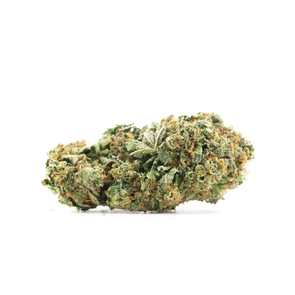 Cansativa Cannabis