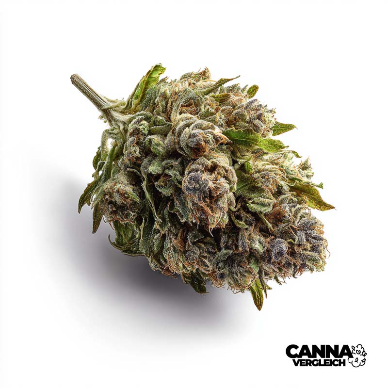 Polar Pop x 36,4% THC | Bathera