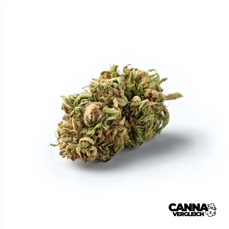 EG CA: Pineapple God x 29,0% THC | Can-Doc