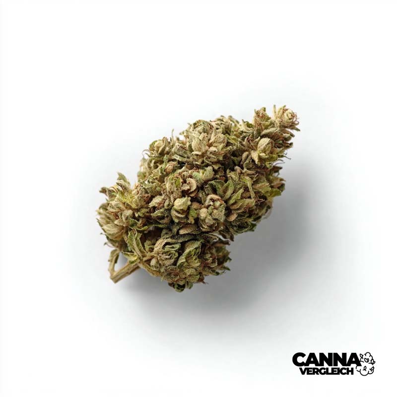 GMO Cookies x 30,0% THC | Beacon Medical Germany