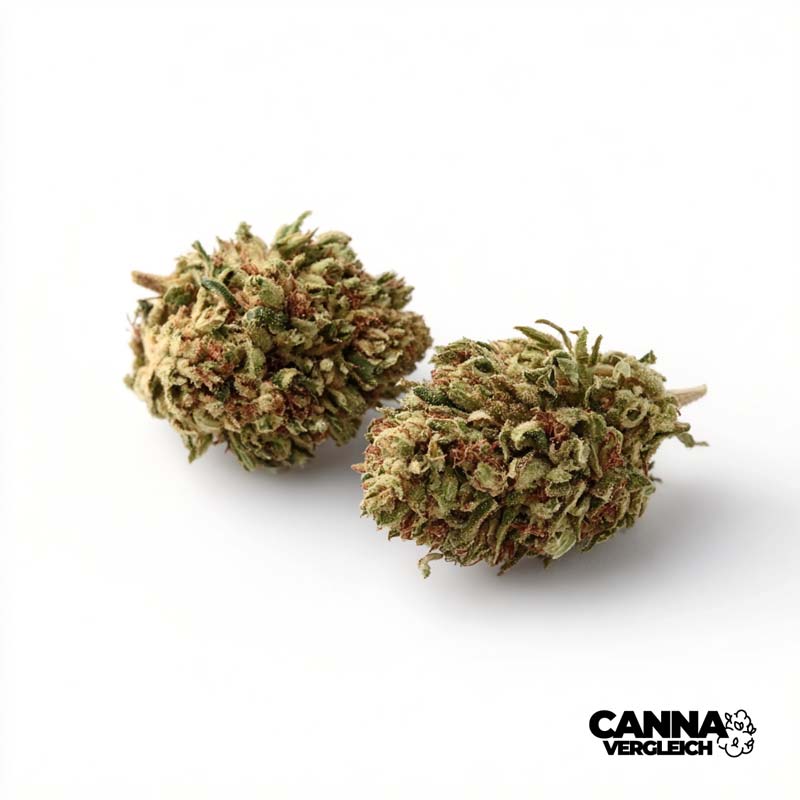 God Bud x 1,0% THC | IMC