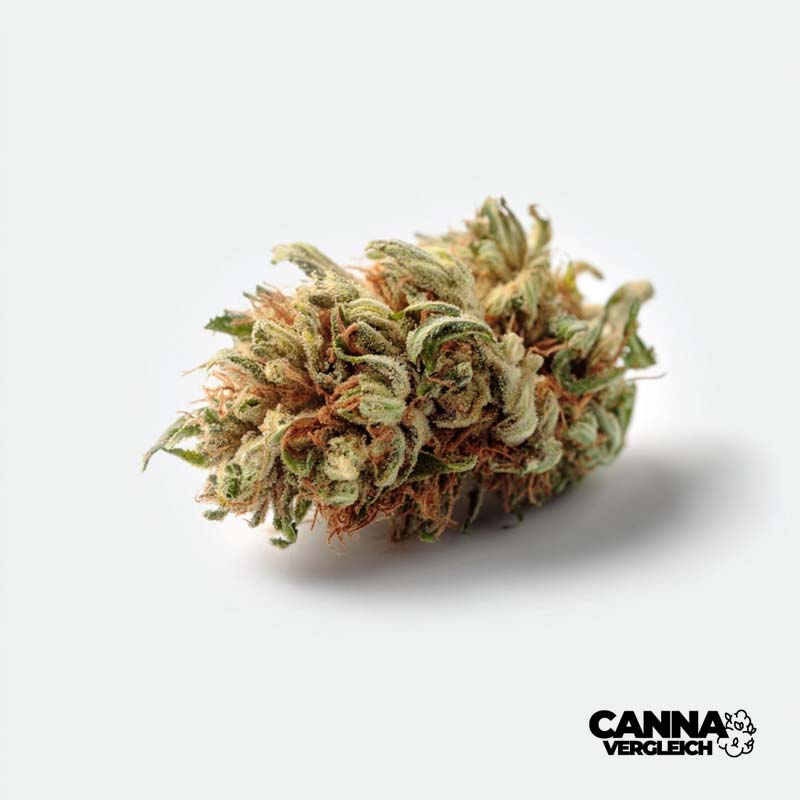 Mad Berry x 24,5% THC | Remexian Pharma