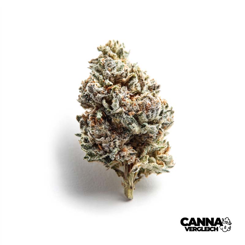 White Widow x 18,0% THC | Vayamed