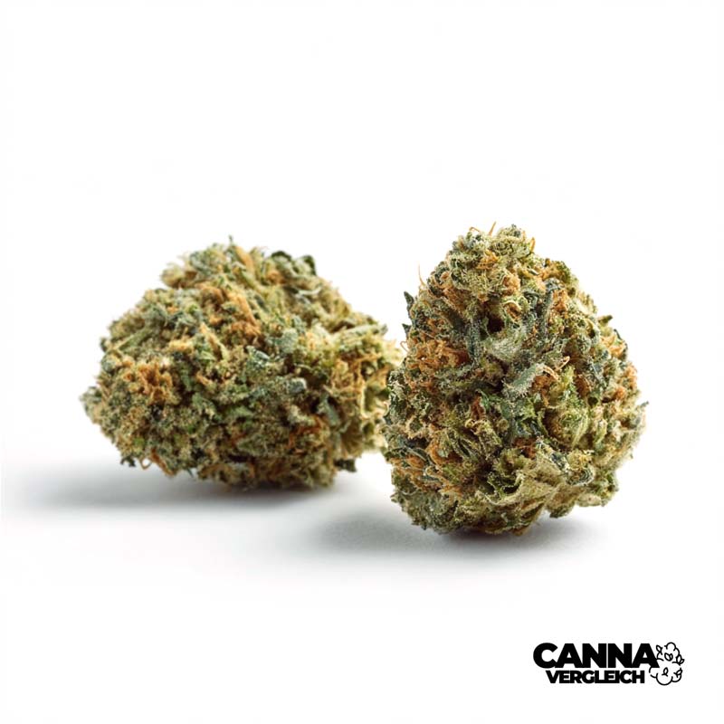 Cali Rain x 32,0% THC | Cantourage