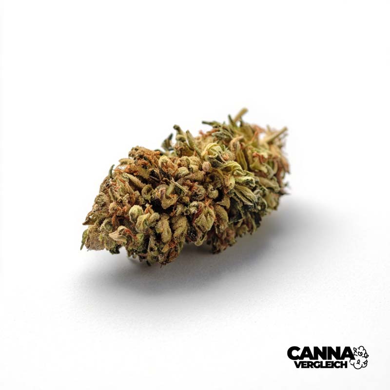 PG Epic Drop 30/1 "Tiger Eyez" x 30,0% THC | Demecan