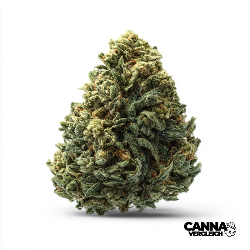 Banana Sherbet x 26,2% THC | IUVO Therapeutics