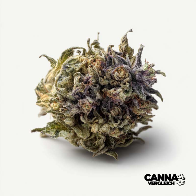 ShockWave x 28,8% THC | Remexian Pharma