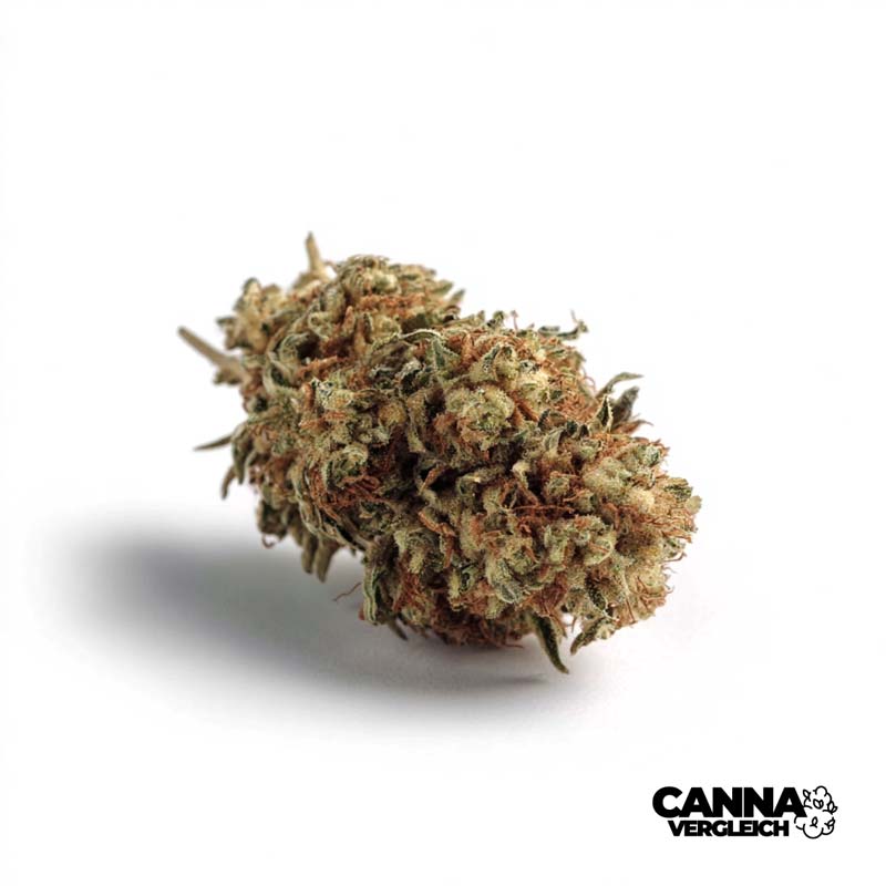 Slurricane Mint x 23,0% THC | Cantourage