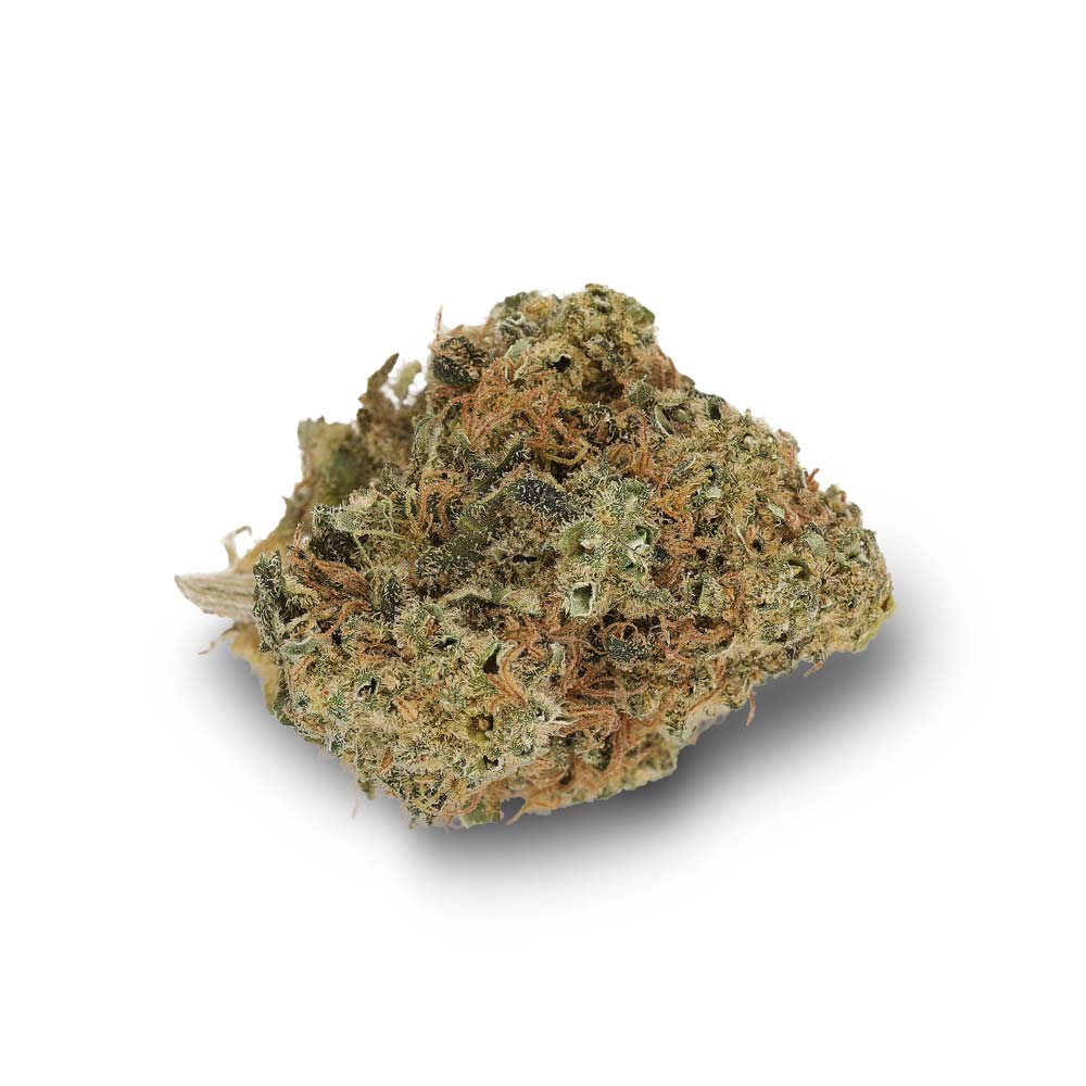 Sativa