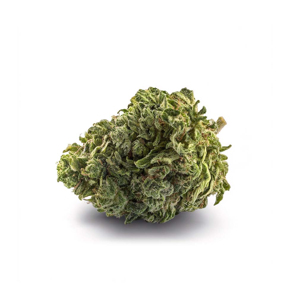 Indica