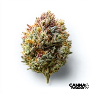 Tangie Chem x 10,0mg THC | IUVO Therapeutics