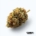 Slurricane x 23,7% THC | enua Pharma