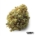 Pineapple Nuken x 22,0% THC | avaay