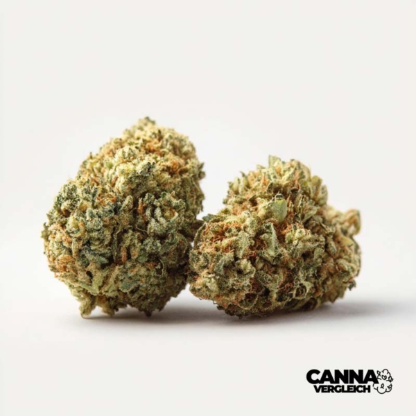 Black Cherry Punch x 24,0% THC | canymed