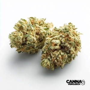 Chem OG x 25,0% THC | Cantourage