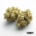 Sour Kush x 26,0% THC | ADREXpharma