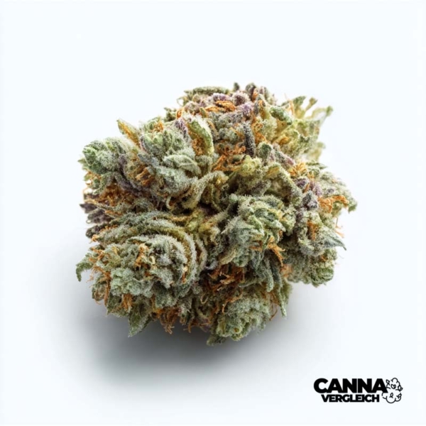 Ice Cream Cake x 27,0% THC | Remexian Pharma