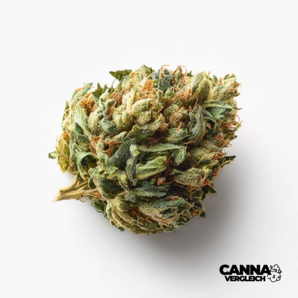 Gorilla Mints x 19,8% THC | Cannamedical