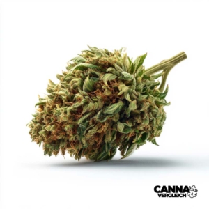 Oasis OG x 30,0% THC | Remexian Pharma