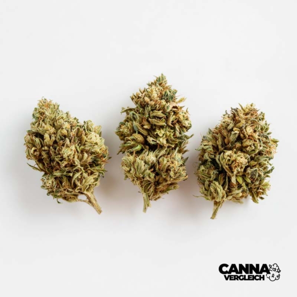 Delahaze x 18,0% THC | Stada