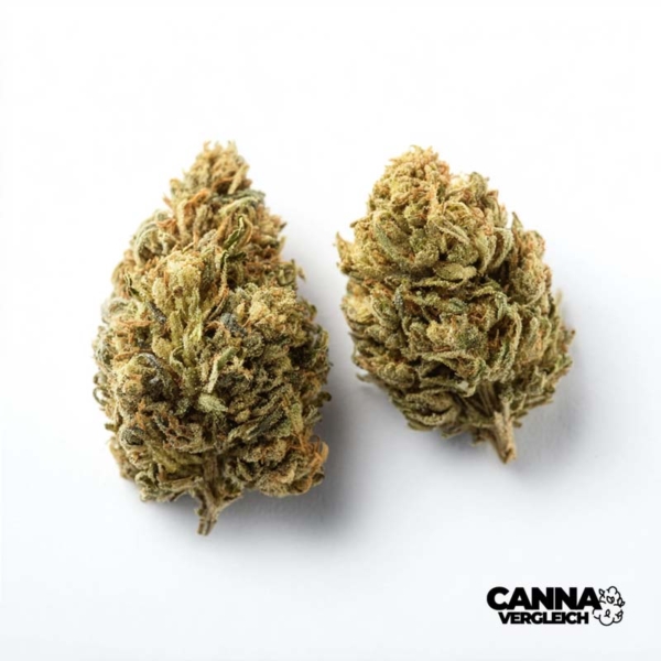 Lemon OG x 21,0% THC | ADREXpharma