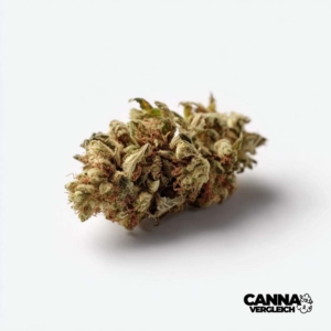 Creamy Kee's No.5 x 24,2% THC | Cannamedical