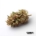 Cherry Pie x 23,0% THC | Cansativa
