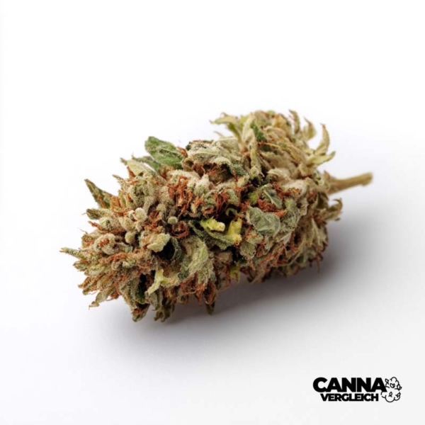 Cherry Pie x 23,0% THC | Cansativa