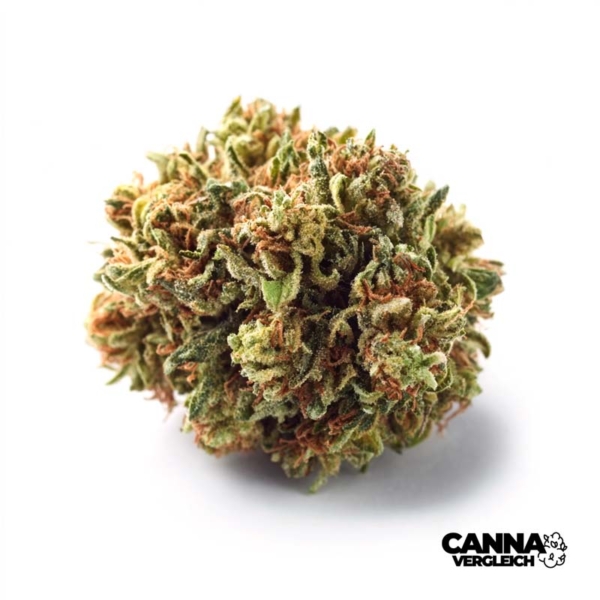 OMG x 21,0% THC | Remexian Pharma