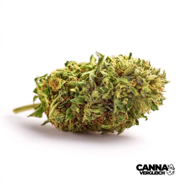 Godfather OG x Schroll Medical x 28,0% THC | Remexian Pharma
