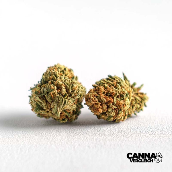 MAC x 23,0% THC | Heyday