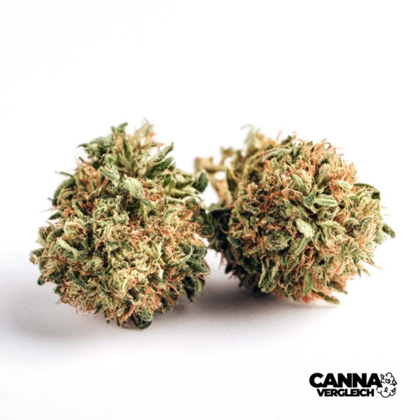 Black Krush x 23,0% THC | avaay