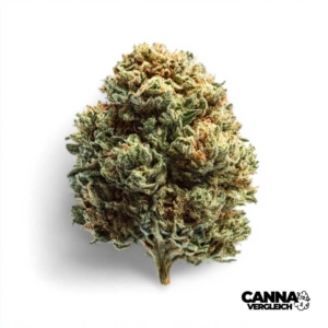 Cookies & Cream x 24,0% THC | WMG Pharma