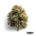 AK-47 x 50,0mg THC | Heyday