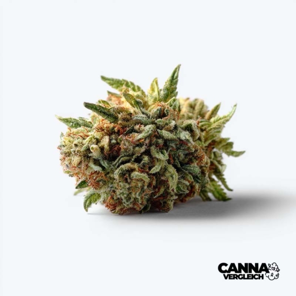 Zkittlez x 18,0% THC | Remexian Pharma