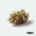 Medellin x 26,0% THC | Cansativa