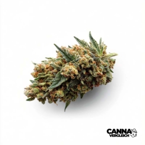Wedding Tree x 18,8% THC | Cannamedical