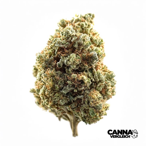 Crescendo Cookies x 23,0% THC | Therismos