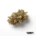 Gorilla Glue x 22,0% THC | Apocan