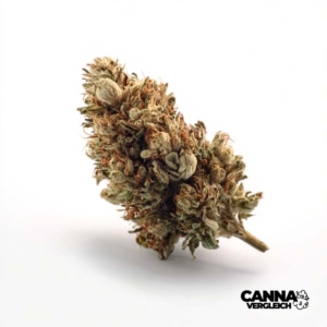 Peppermint Kush x 30,0% THC | Remexian Pharma