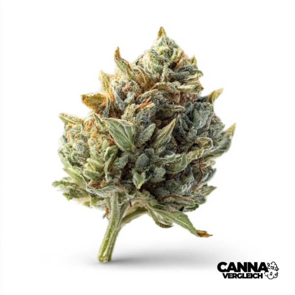 Facade x 27,0% THC | Remexian Pharma