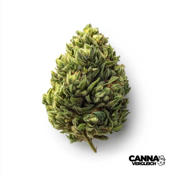 Hindu Kush x 20,0% THC | Weeco
