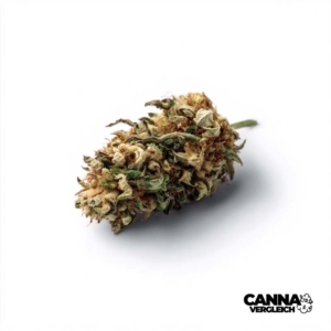 Cheddar Skunk x 18,5% THC | Cannamedical