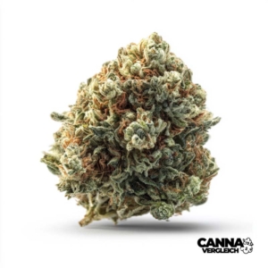 Banana Cream x 26,0% THC | Herbery