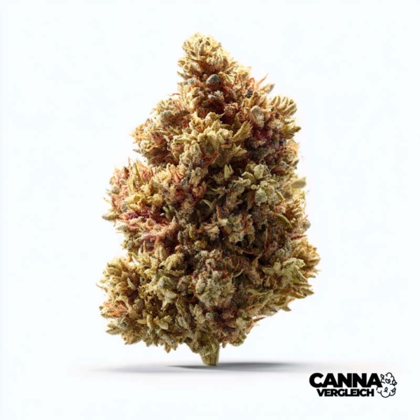 Mango Cheese x 9,0% THC | Remexian Pharma